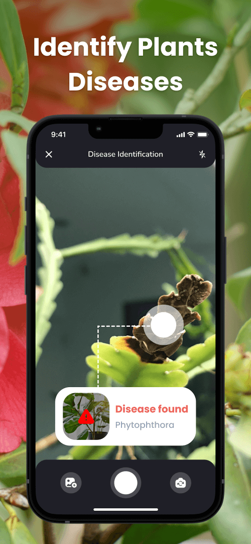PlantIn: Plant Identification 2.11.1