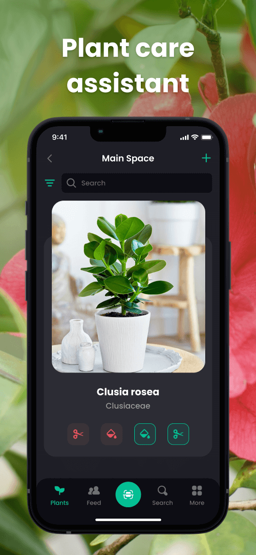 PlantIn: Plant Identification 2.11.1