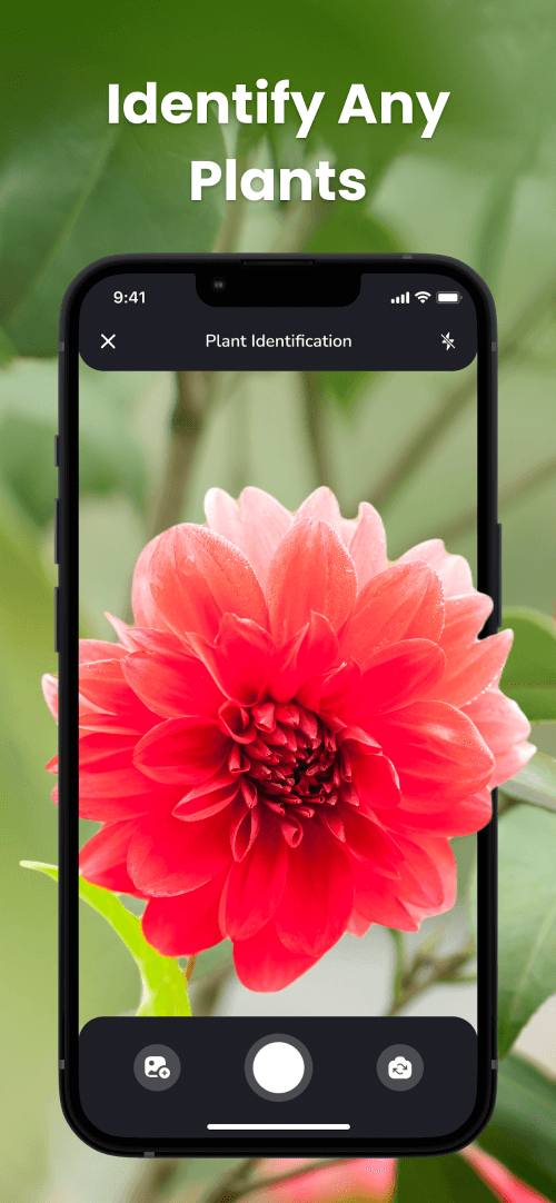 PlantIn: Plant Identification 2.11.1
