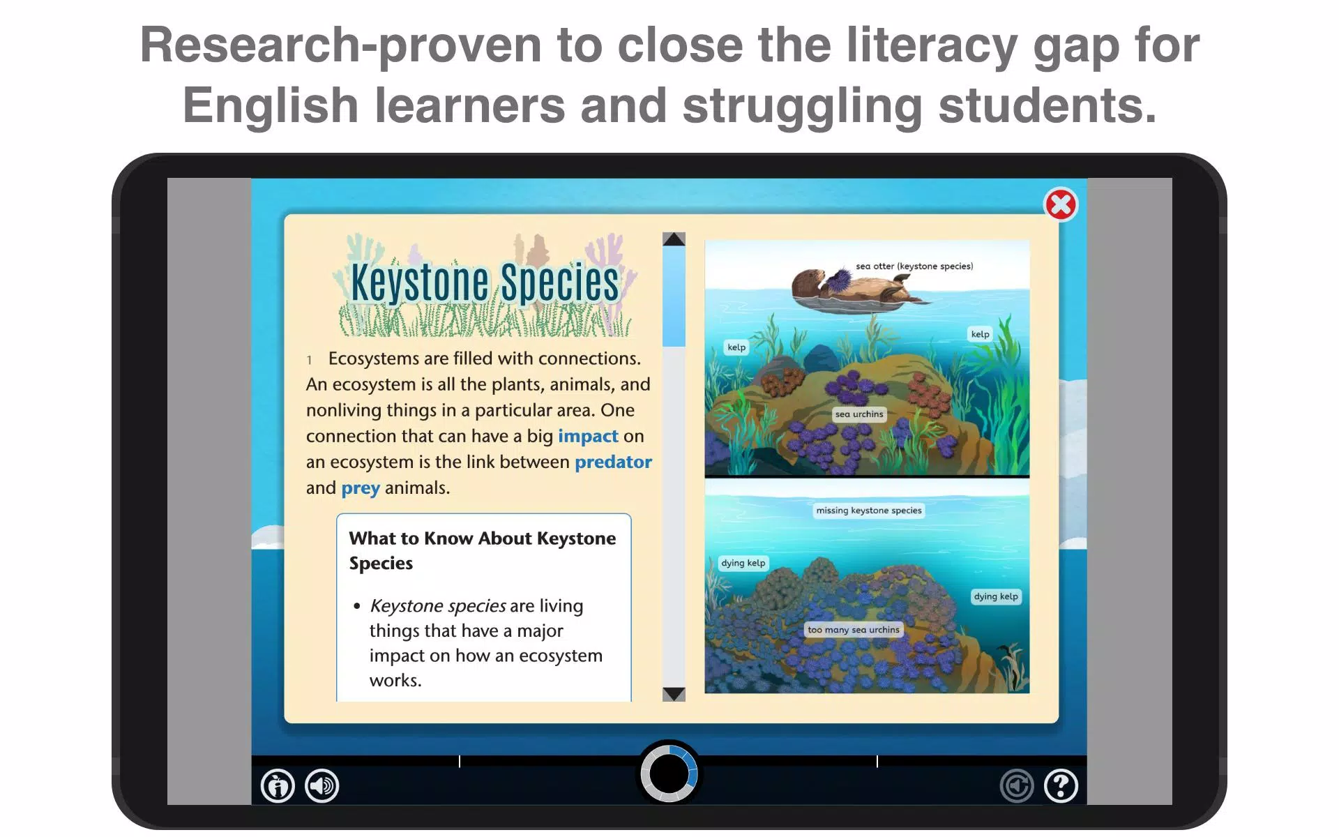 Lexia Reading Core5