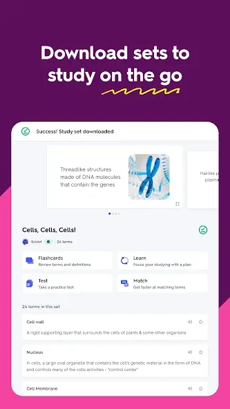 Quizlet