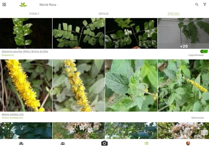 PlantNet Plant Identification