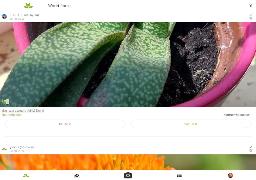 PlantNet Plant Identification