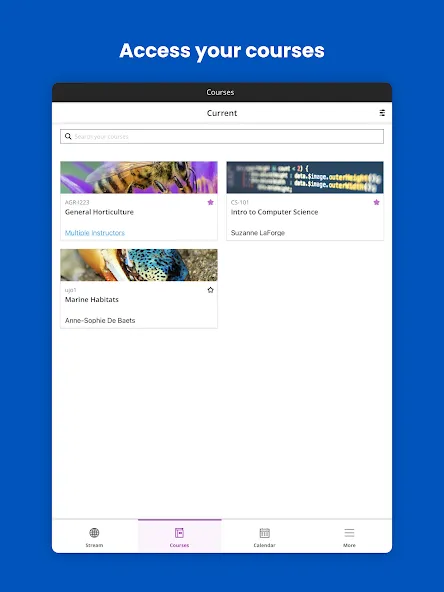 Blackboard