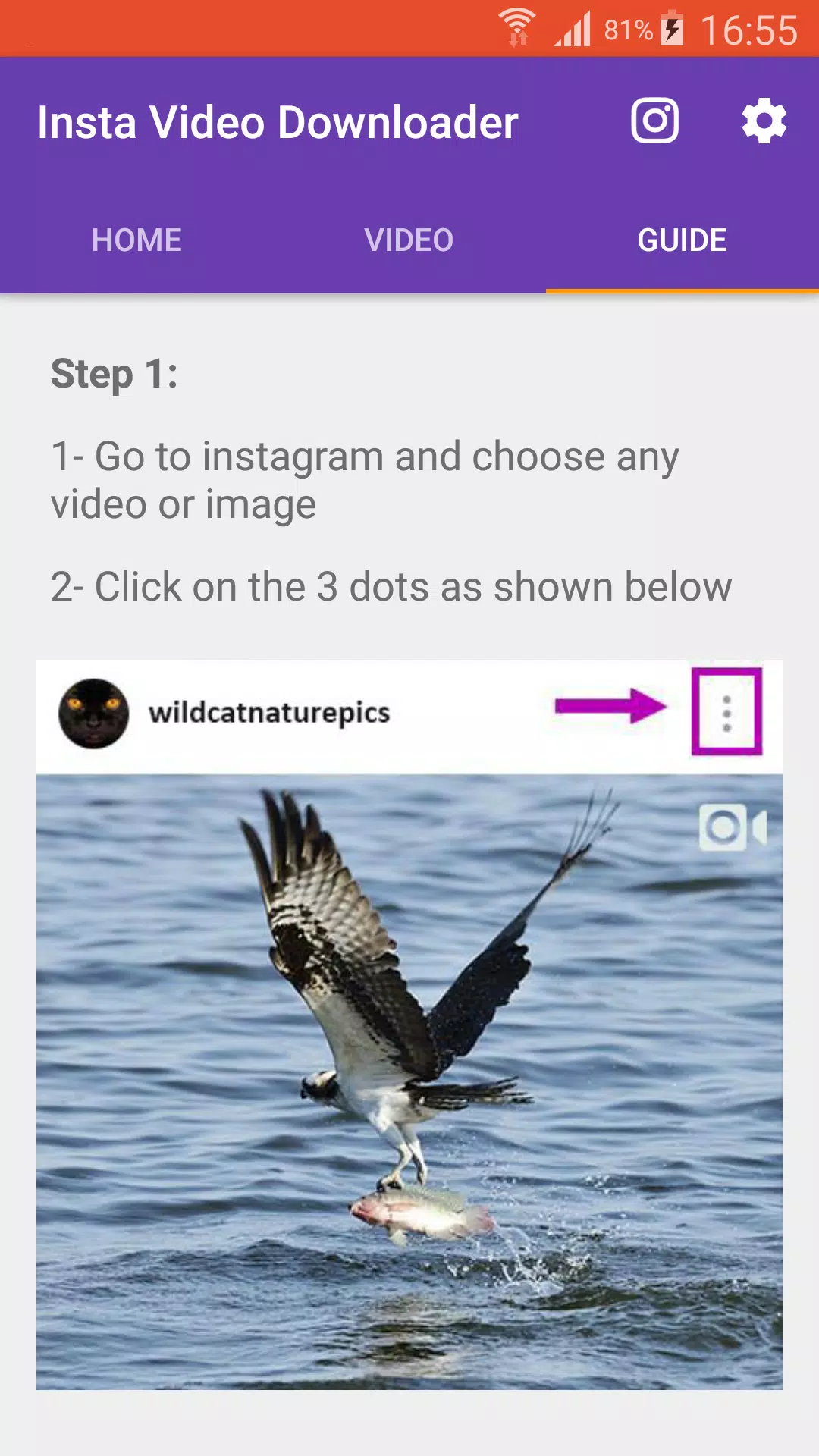 Igram Downloader Igram Downloader