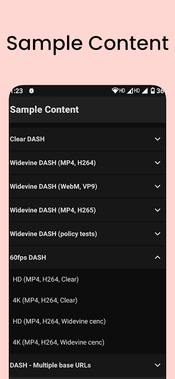 Network Stream Player Mod