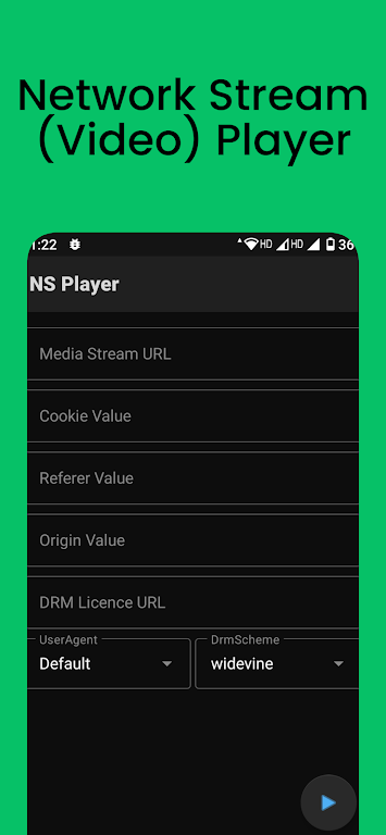 Network Stream Player Mod