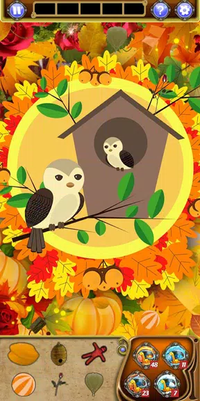 Hidden Object - Autumn Garden Latest