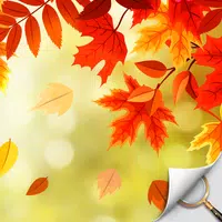 Hidden Object - Autumn Garden Latest