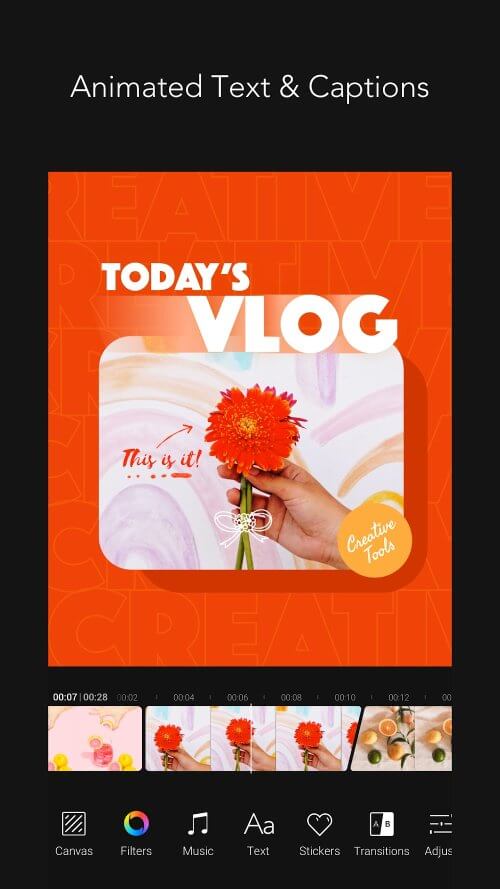 MOLDIV VideoLab