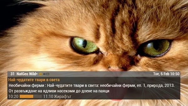 UniTV
