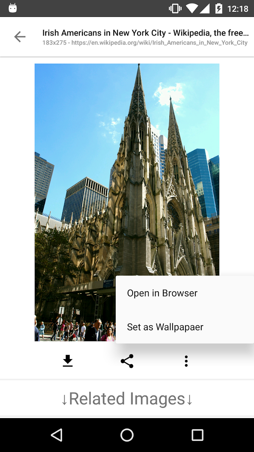 ImageSearchMan
