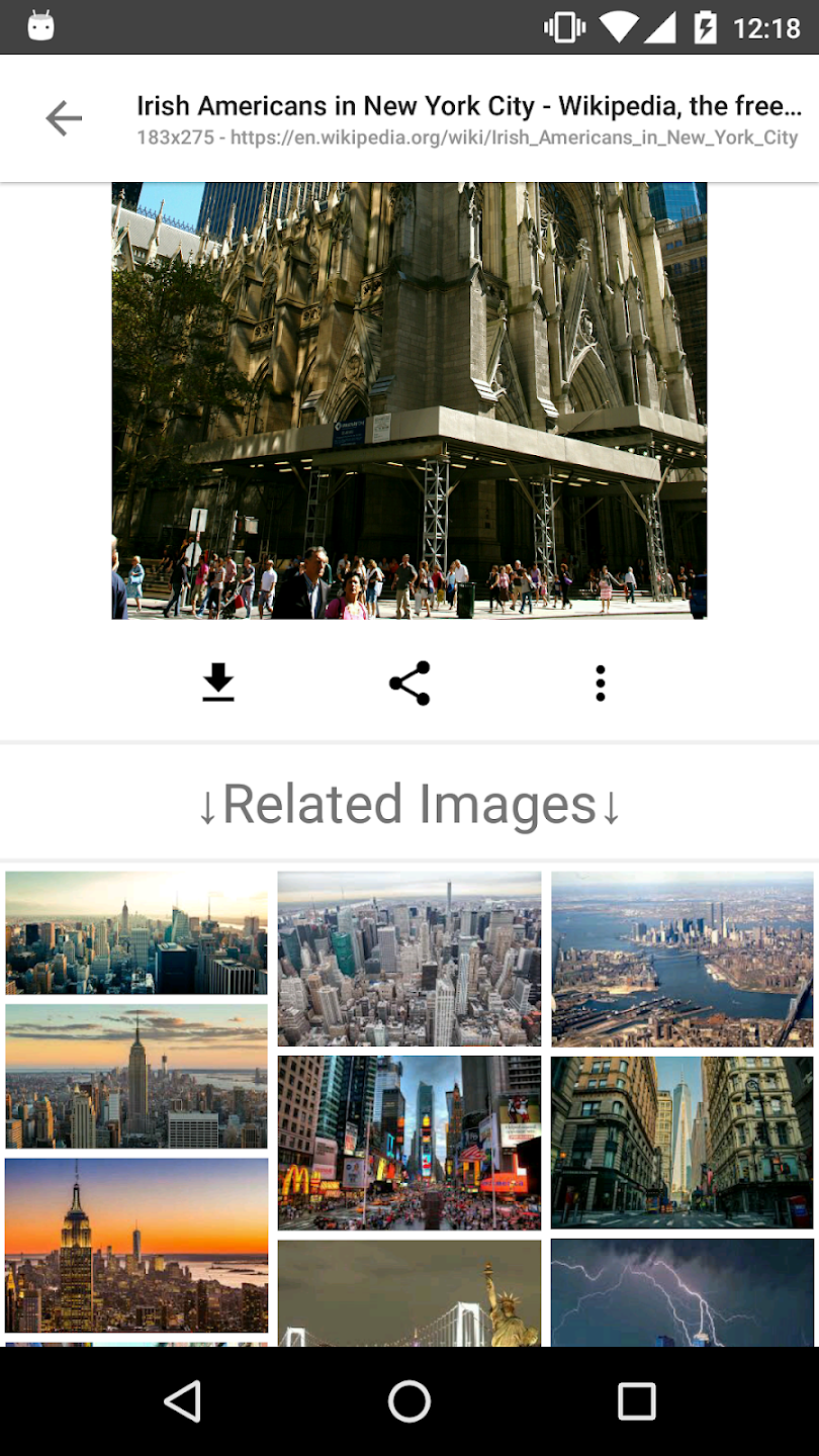 ImageSearchMan