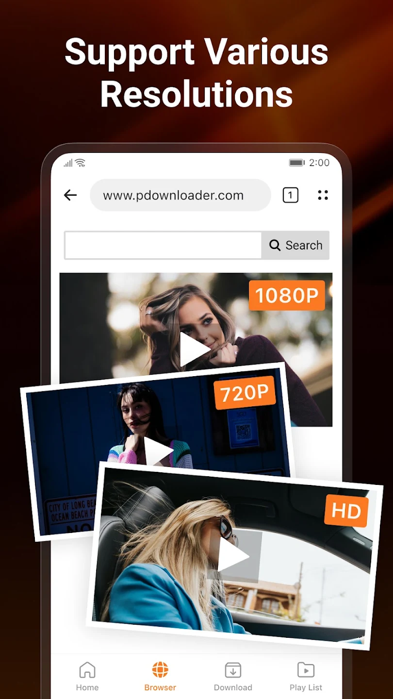PDownloader