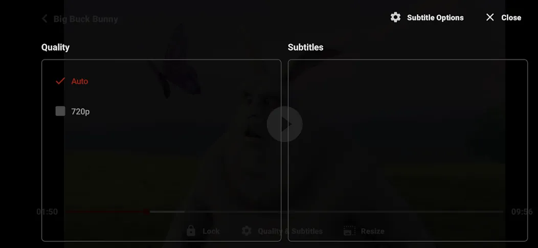 ZoZo Player