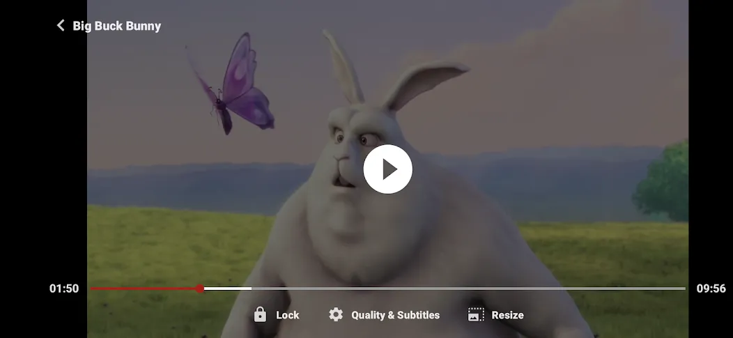 ZoZo Player