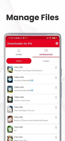 PinSave