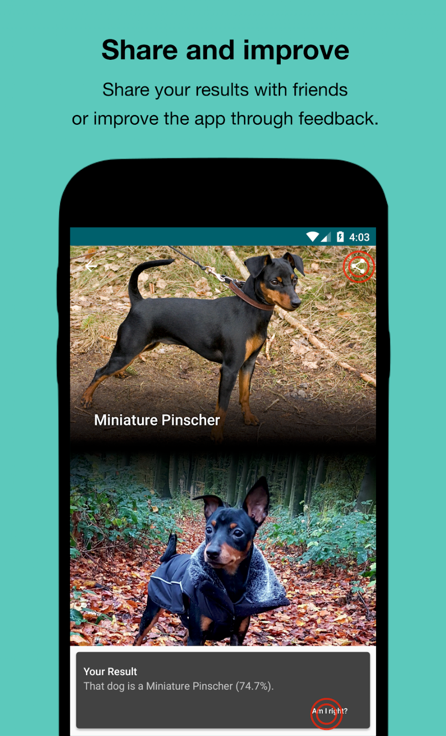 Dog Scanner