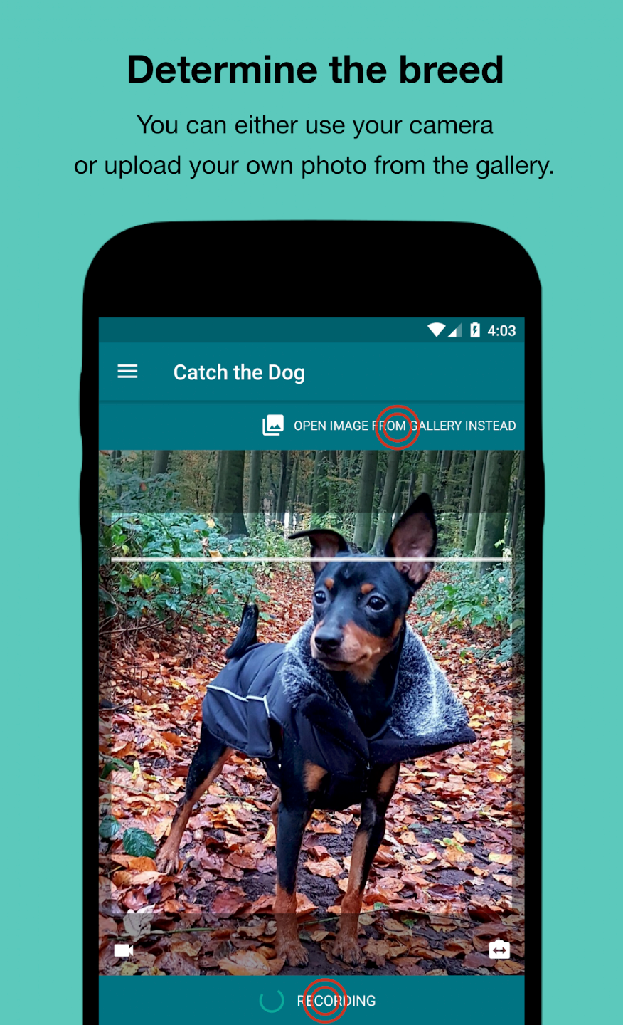 Dog Scanner