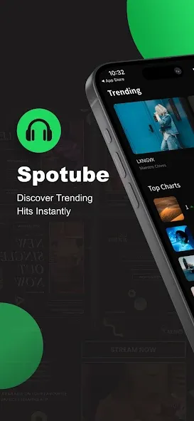 Spotube Spotube