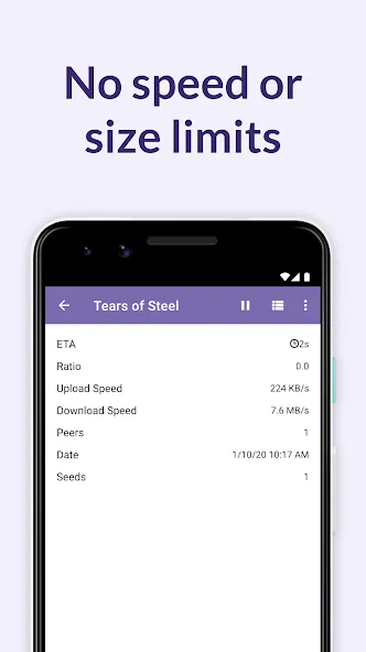 BitTorrent Pro