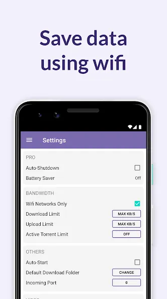 BitTorrent Pro BitTorrent Pro