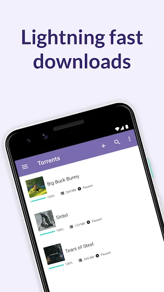 BitTorrent Pro BitTorrent Pro