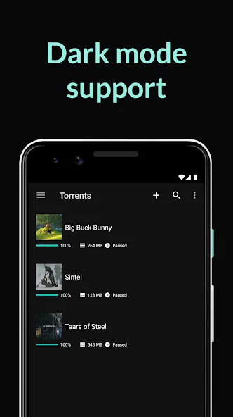 BitTorrent Pro BitTorrent Pro