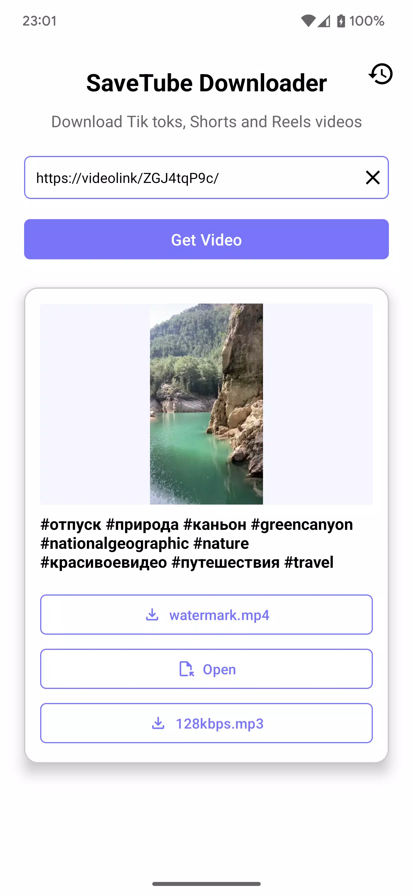 Savetube