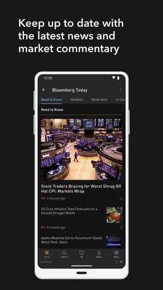 Bloomberg Professional