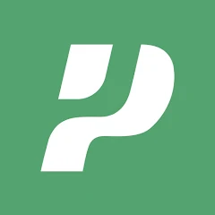 Paisayaar