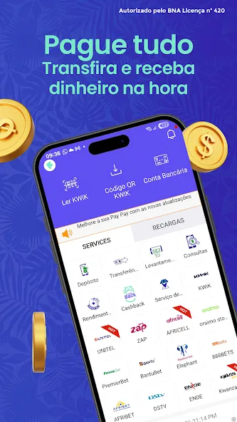 PayPay AO