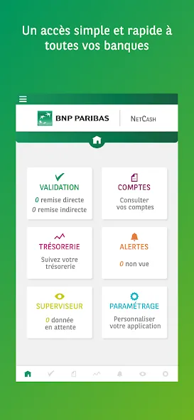 Netcash