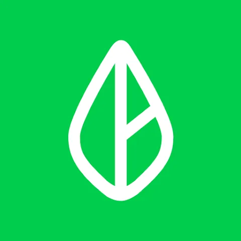 Branch