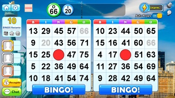 Bingo Holiday