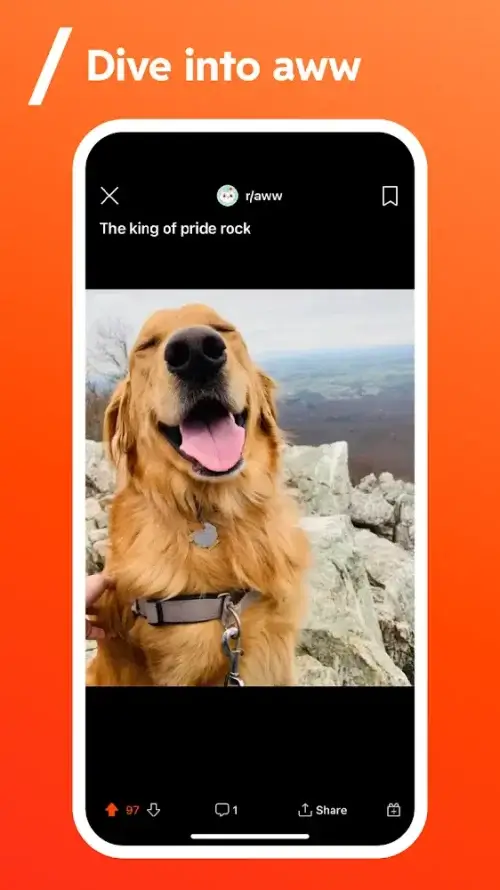 Reddit v2025.13.0