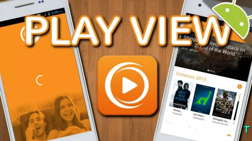 PlayView