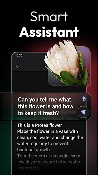 ChatOn AI Chat Bot Assistant