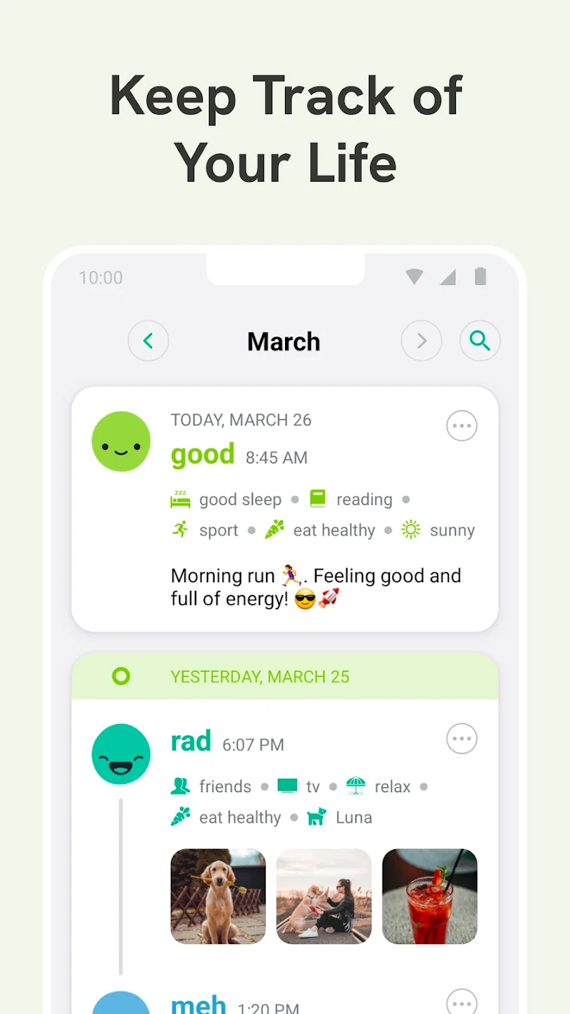 Daylio Journal