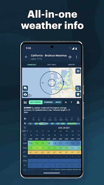 Windy.app Windy.app