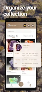 Rock Identifier Premium