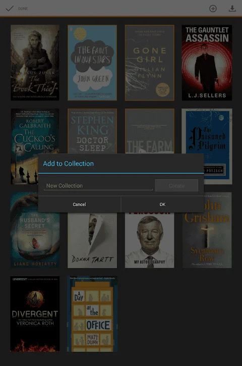 Amazon Kindle