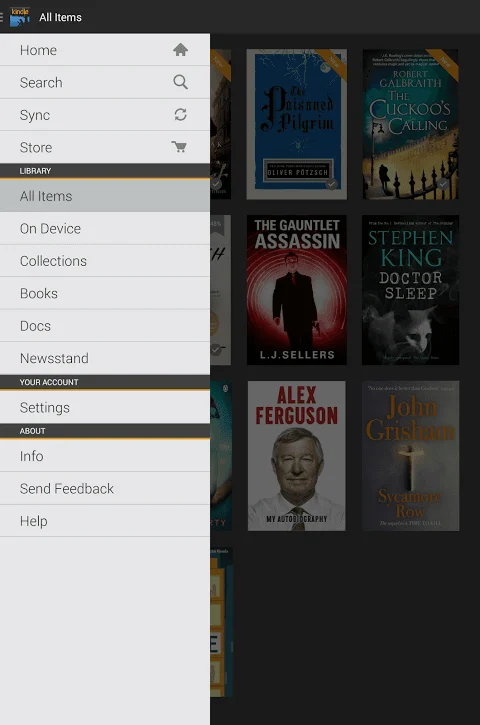 Amazon Kindle