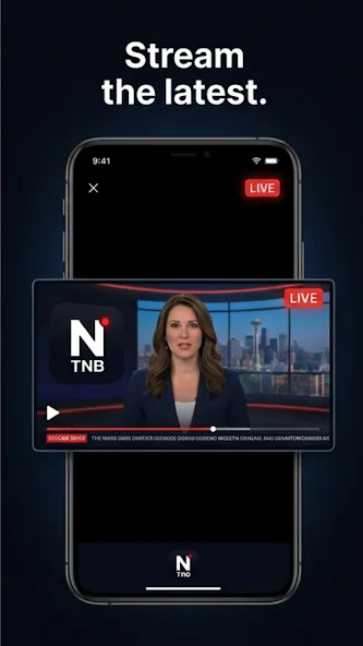 The News Brief