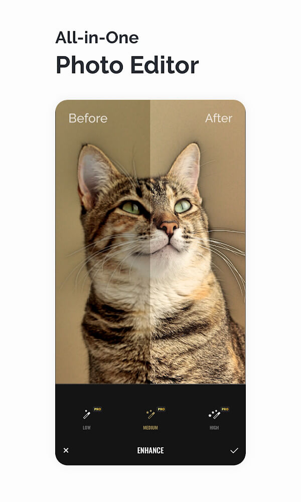 Fotor Photo Editor Mod