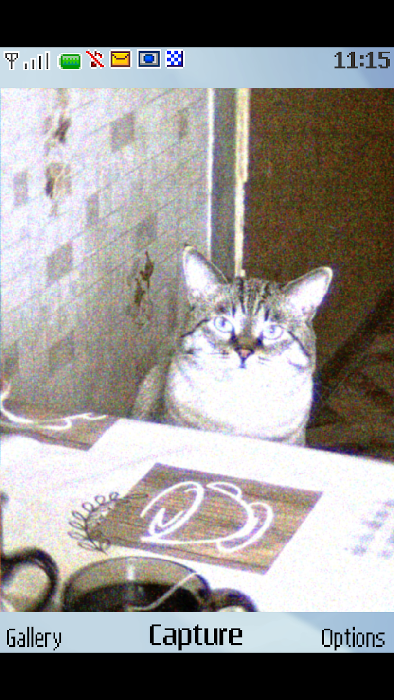 0.3MP Camera