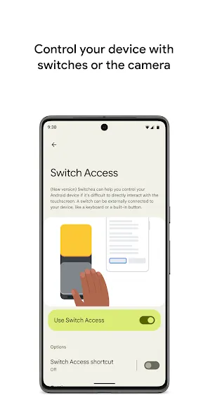 Switch Access Switch Access