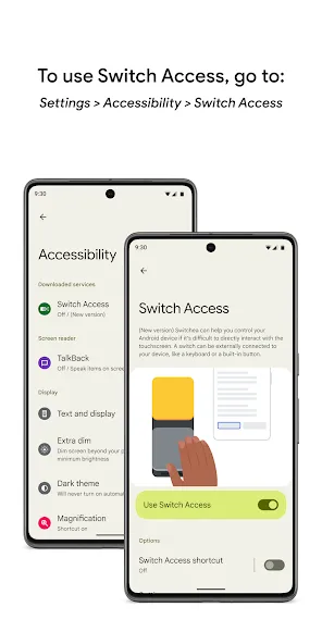 Switch Access Switch Access