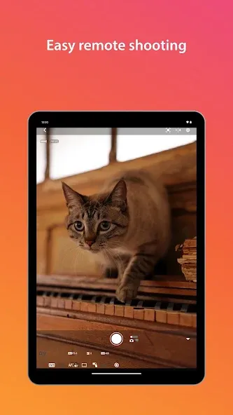 Camera Connect Camera Connect