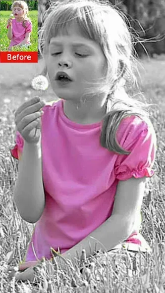 Color Effect